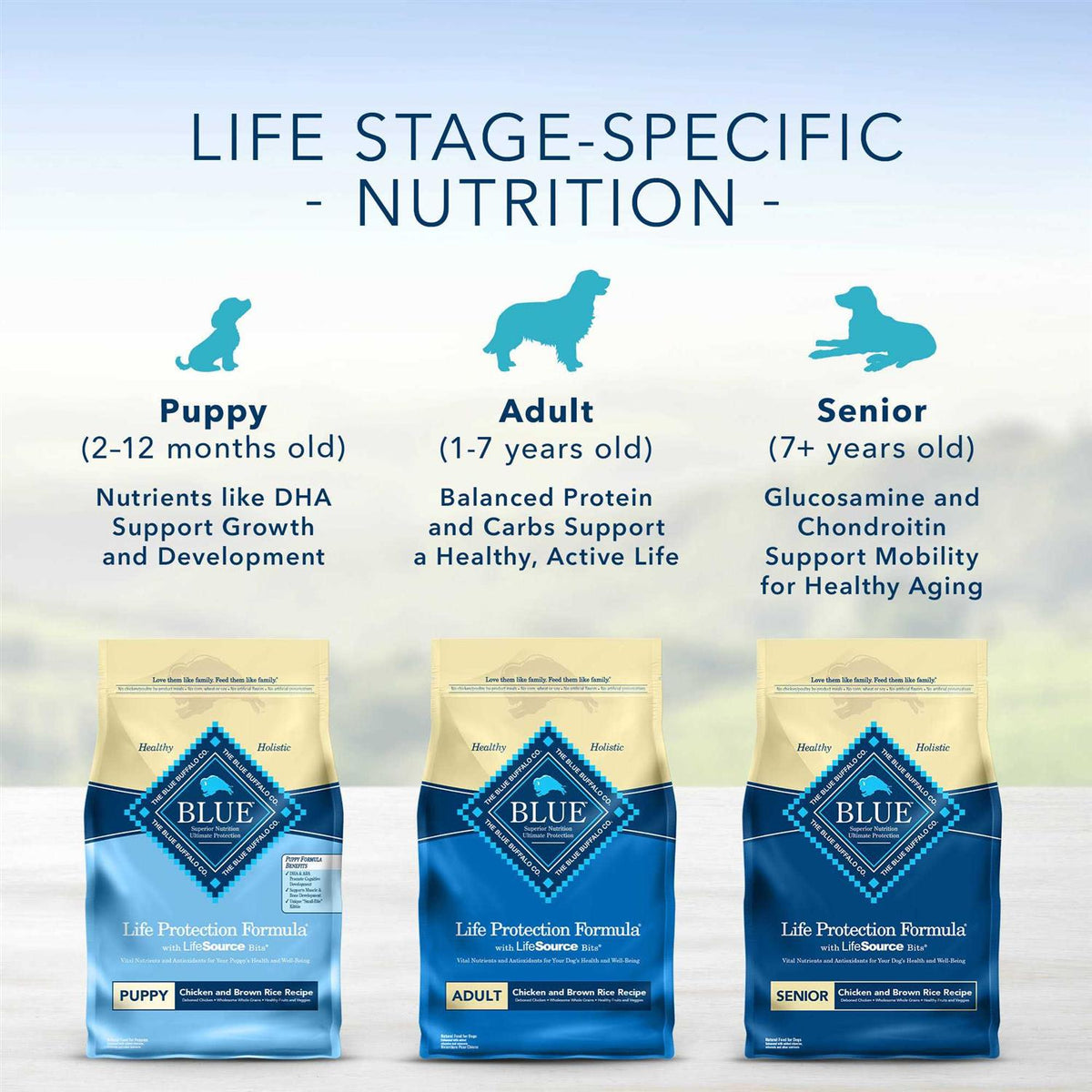 Dog Food Chicken and Brown Rice L409