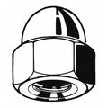 Cap Nut m20-2.50 pk100 G120137