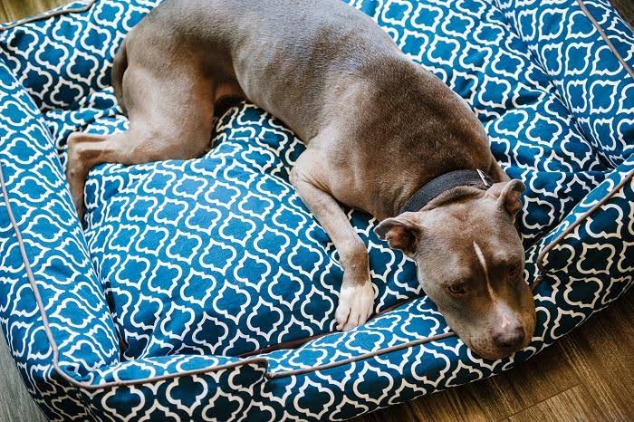 Moroccan Lounge Bed Medium Ash G363667
