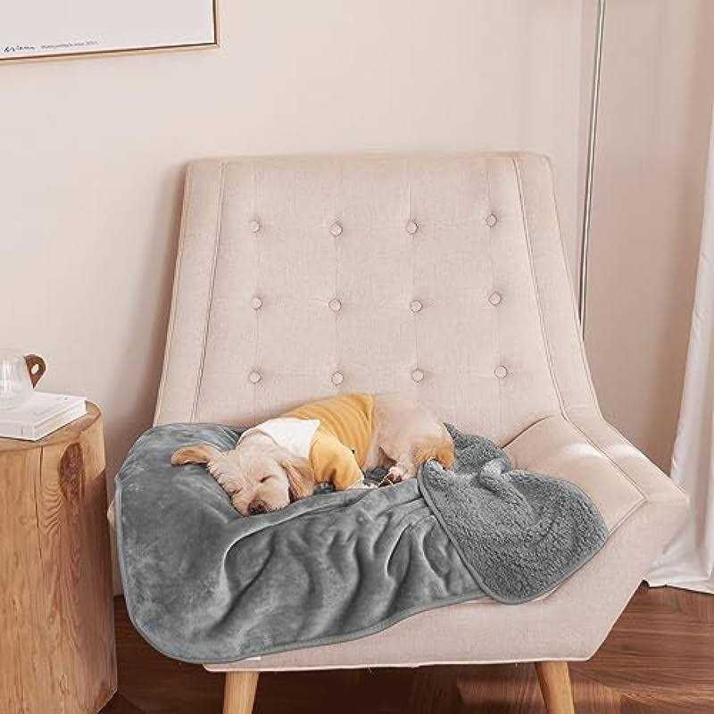 Waterproof Plush Pet Blanket L167171