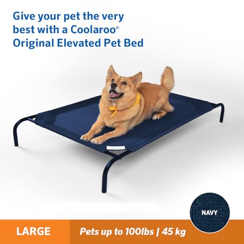 Elevated Dog Bed with Cooling Fabric, Grey, Small M6344