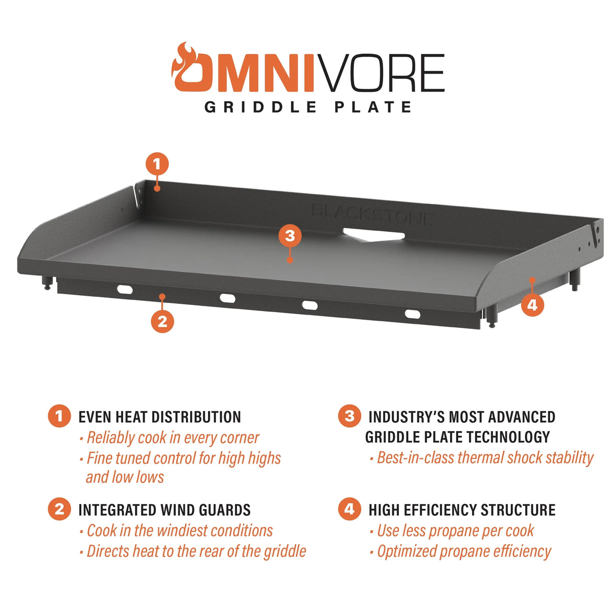 4-Burner Propane Griddle with Hard Cover Q105423