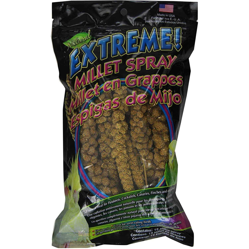 Natural Millet Spray Z899