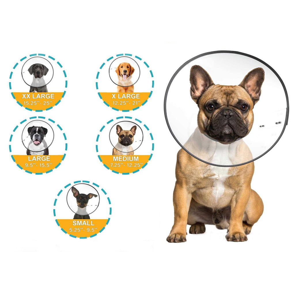 Clear Recovery Collar G762260