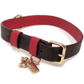 Boxed Pet Collar In Signature Canvas Y675
