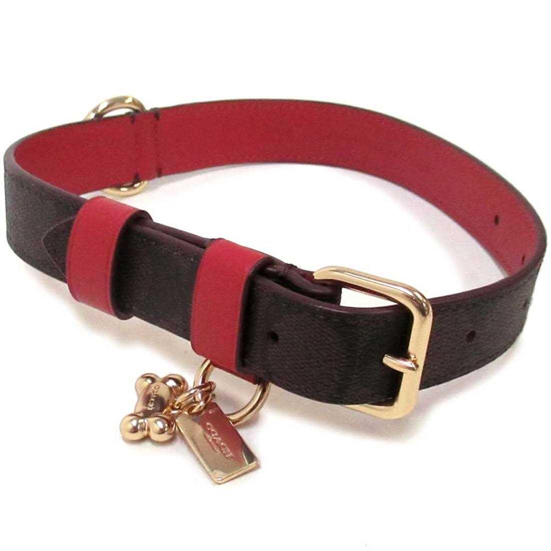 Boxed Pet Collar In Signature Canvas Y675