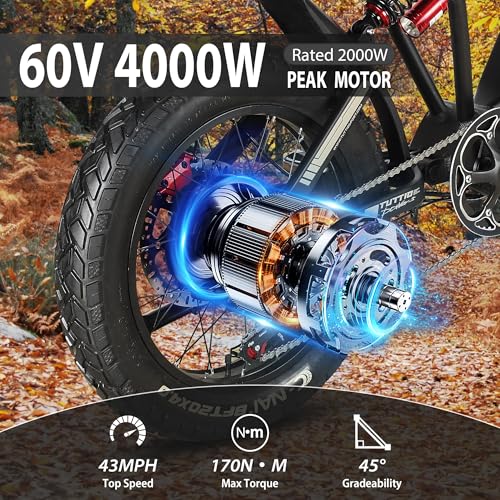 20" Fat Tire Electric Dirt Bike X565
