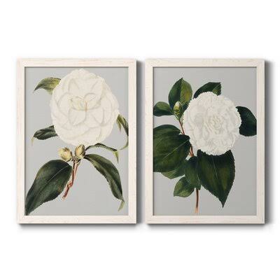 Camellia Japonica Framed Canvas P75175