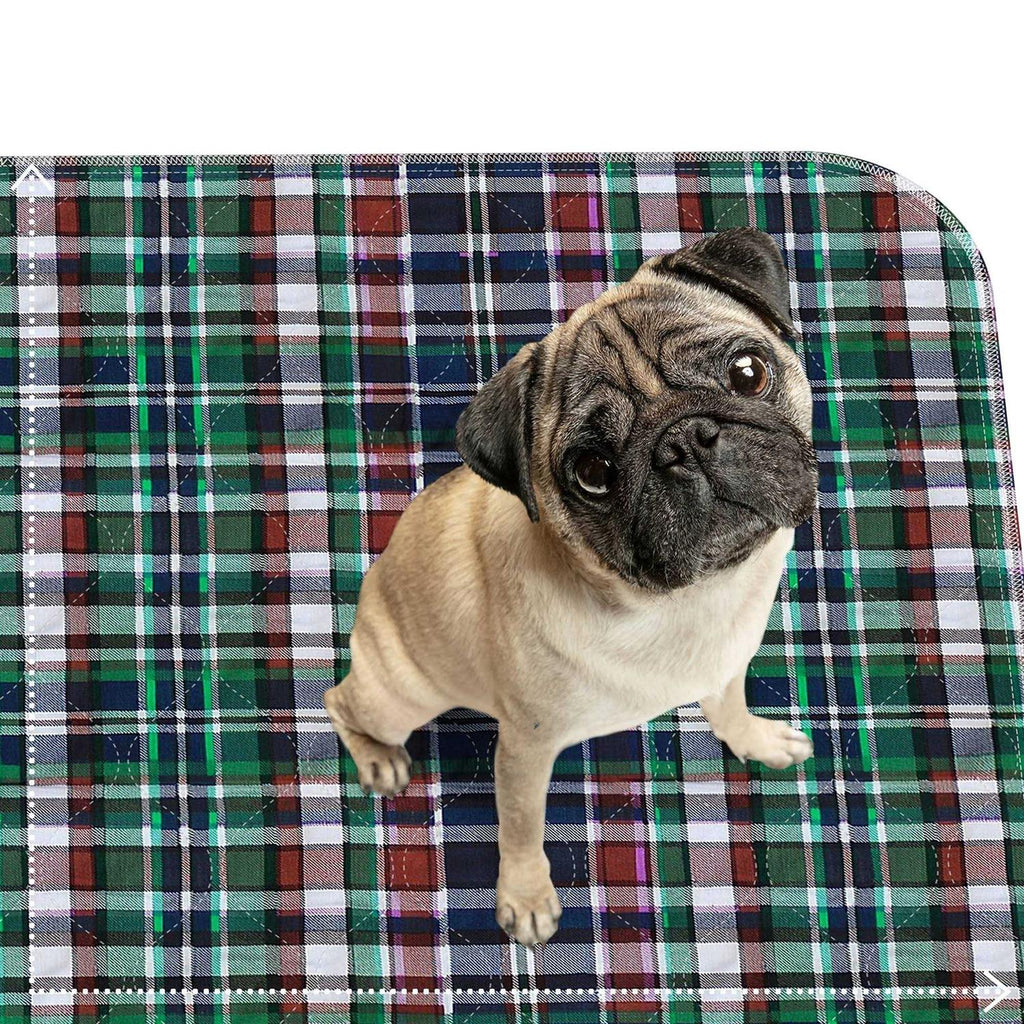 Tartan Plaid Reusable Pee Pads for Dogs R38413