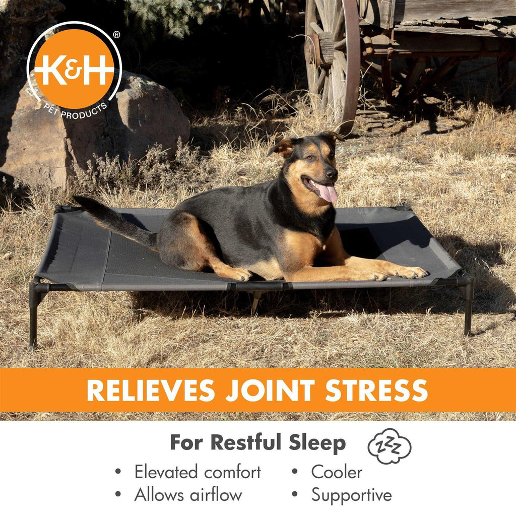Realtree Pet Cot Y39387