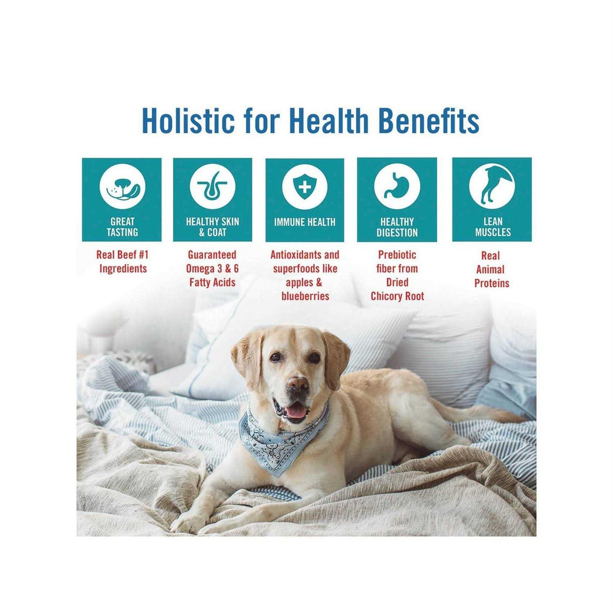 Chicken Turkey & Brown Rice Recipe Small Bites Dry Dog Food W774