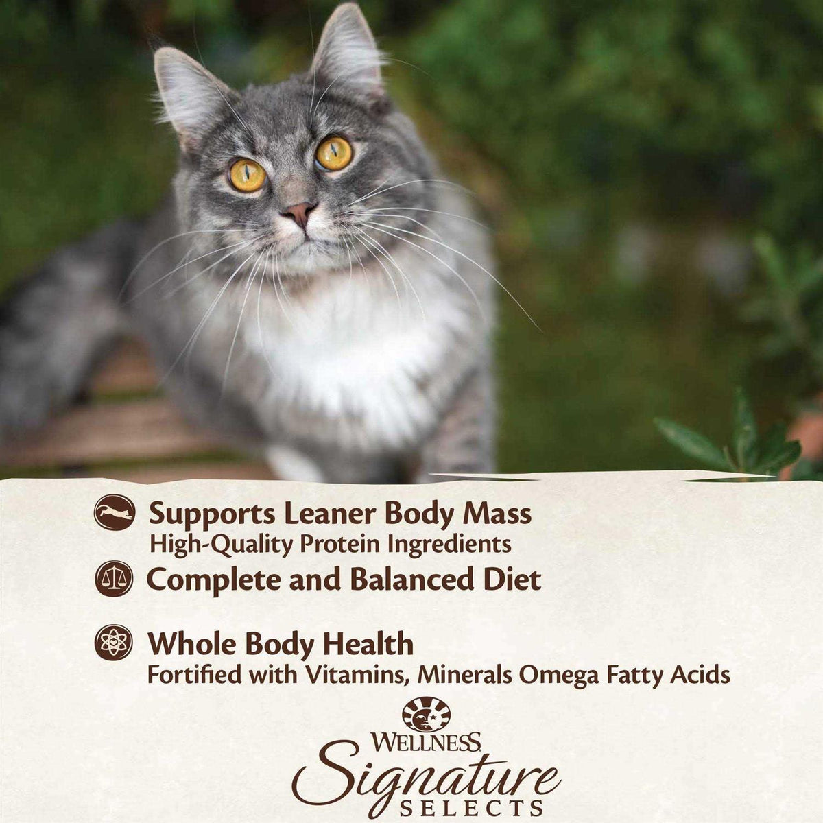 Canned Cat Food Variety Pack H2960