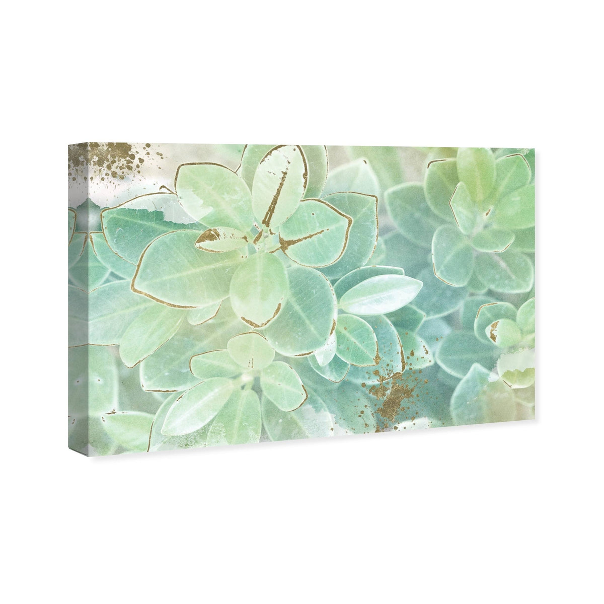 Soft Leaves Canvas Art, 60W x 40H, Green U13445