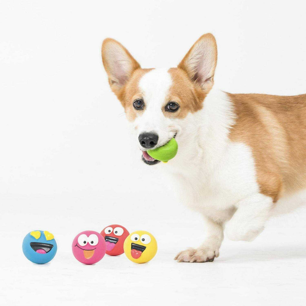 Dog Toys G428