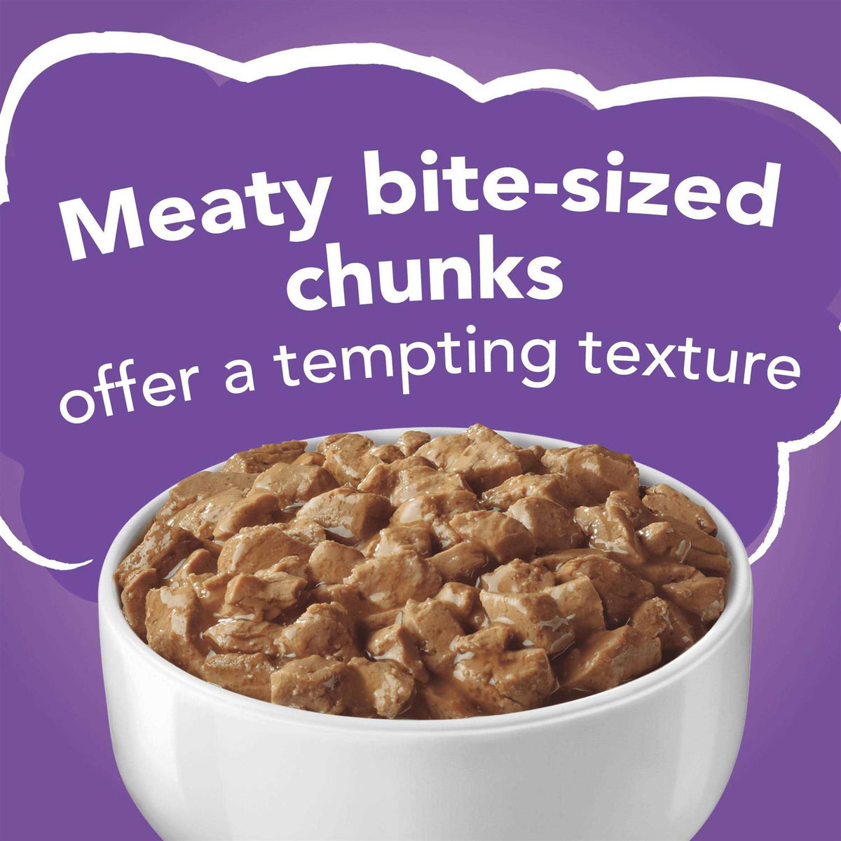 Wet Cat Food N6700