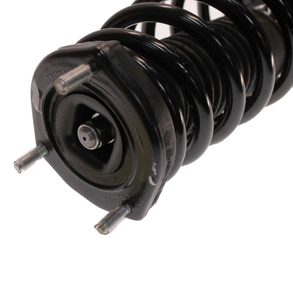 Strut Plus Z8253