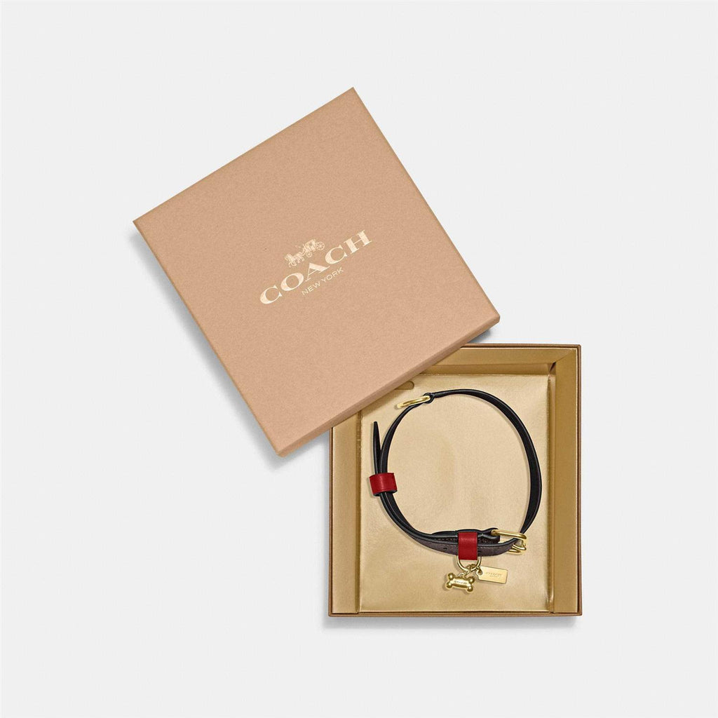 Boxed Pet Collar In Signature Canvas Y675
