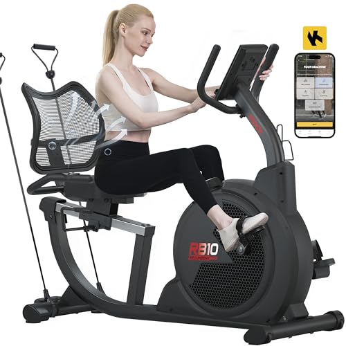 Magnetic Recumbent Exercise Bike with LCD Monitor and Large Seat Cushion T9878