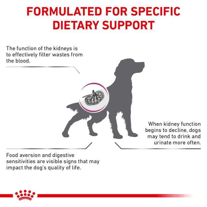 Veterinary Diet Renal Support Dry Dog Food M44342