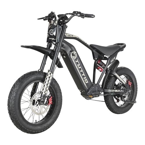 20" Fat Tire Electric Dirt Bike X565