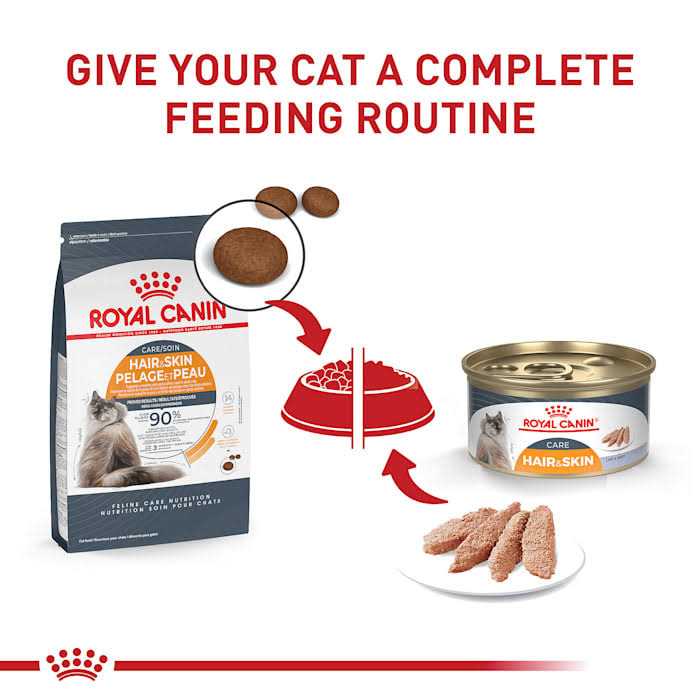 Adult Dry Cat Food S307