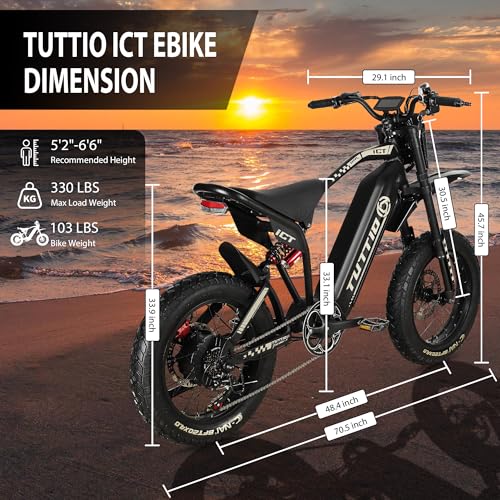 20" Fat Tire Electric Dirt Bike X565