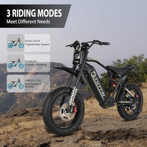 20" Fat Tire Electric Dirt Bike X565