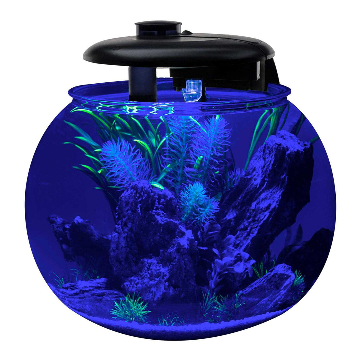 10 Gallon Bowl-Shaped Aquarium C606