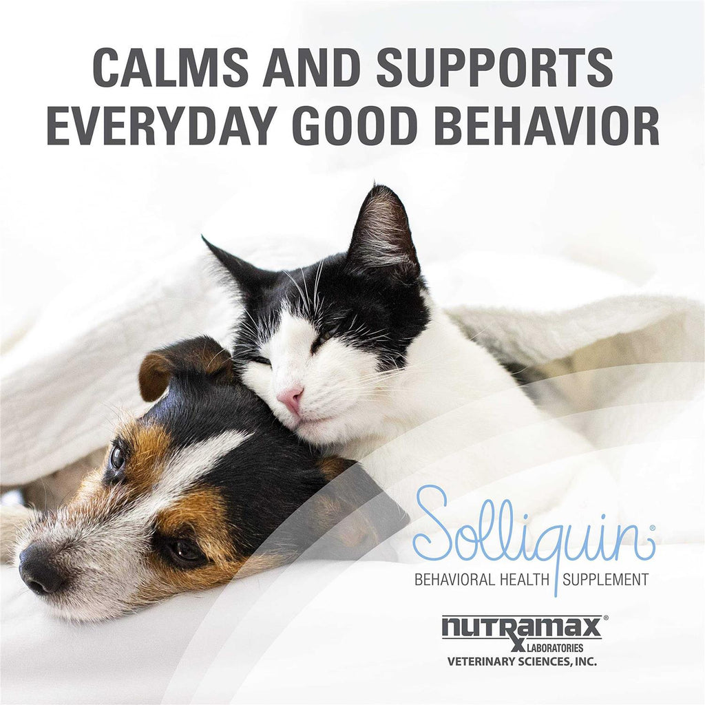 Calming Behavioral Health Supplement for Dogs and Cats T656241