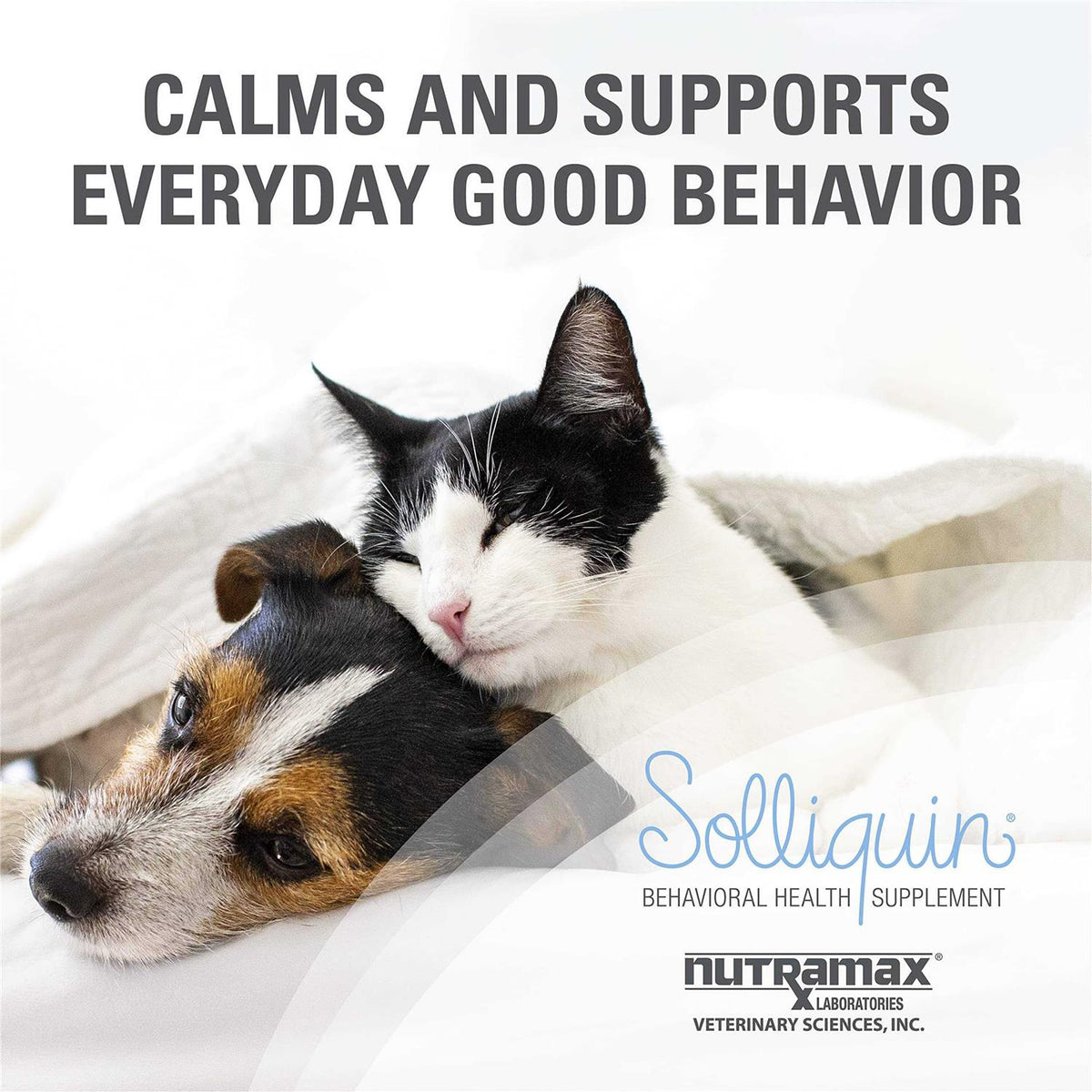 Calming Behavioral Health Supplement for Dogs and Cats T656241
