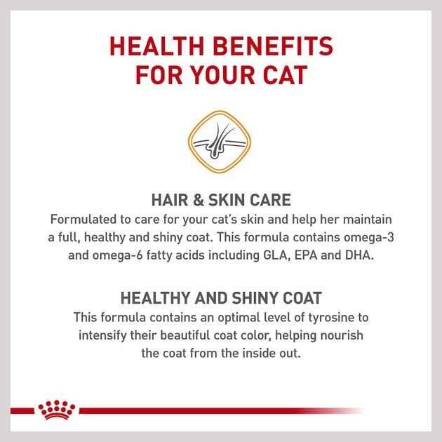 Adult Dry Cat Food S307