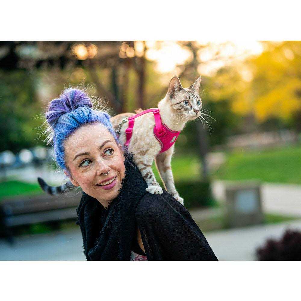 Cat Harness K3028