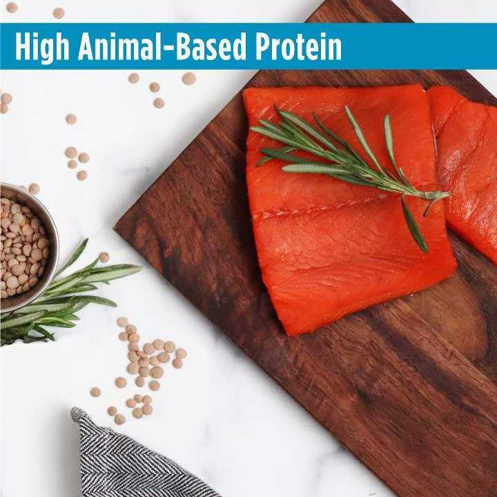Salmon & Lentils Grain-Free Dry Cat Food B693