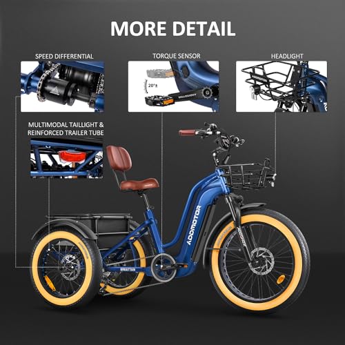 Electric Trike with 750W Rear Motor, 48V 20AH/40AH Dual Battery System, Differential, Parking Brake A312