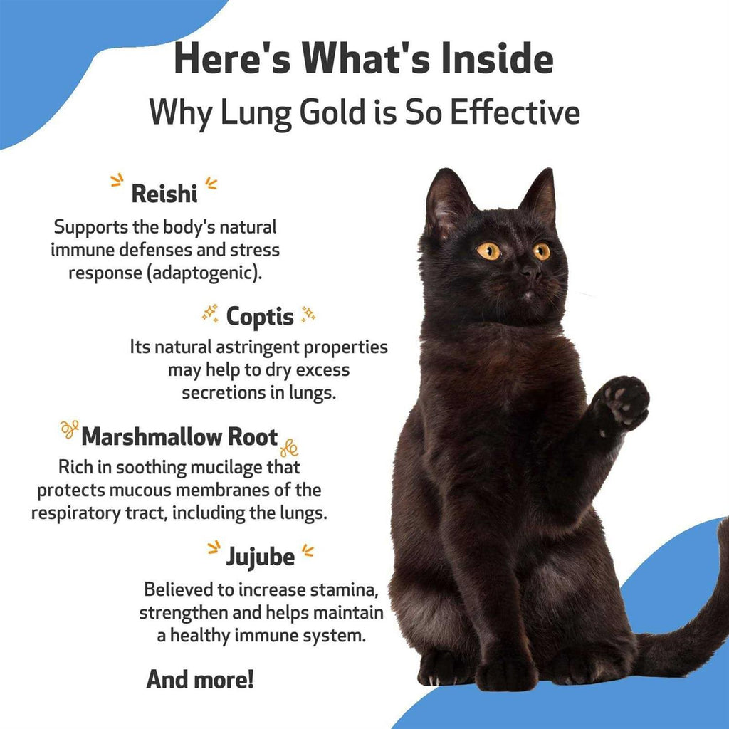 Lung Gold for Cats W881