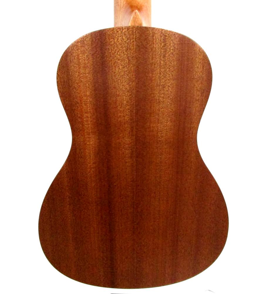 Concert Ukulele Package F877778
