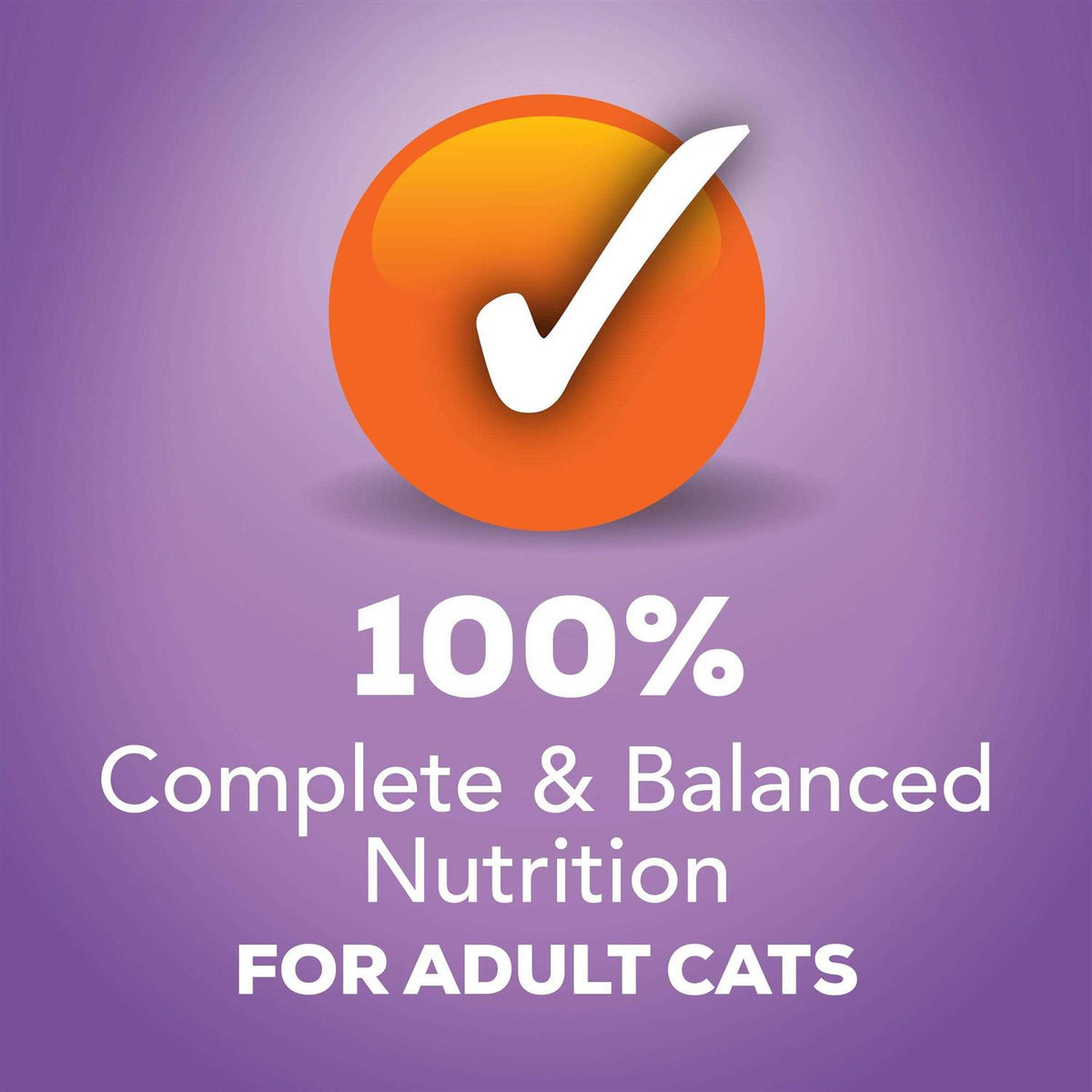 Wet Cat Food N6700