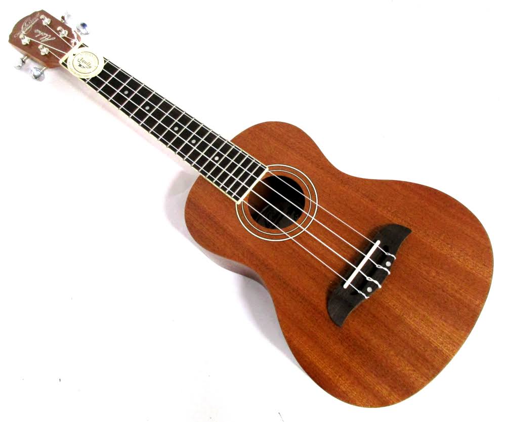 Concert Ukulele Package F877778