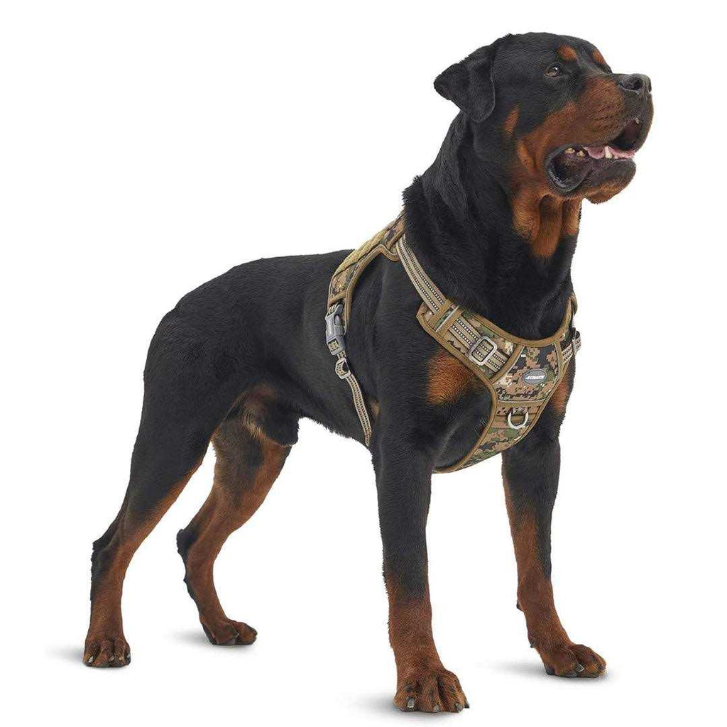 No Pull Dog Harness N249