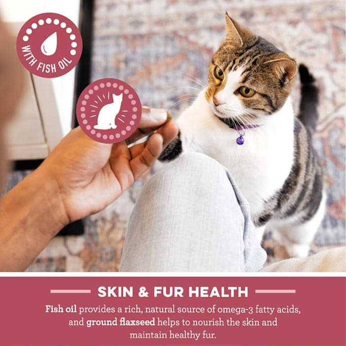 Salmon Dental Cat Treats A898532