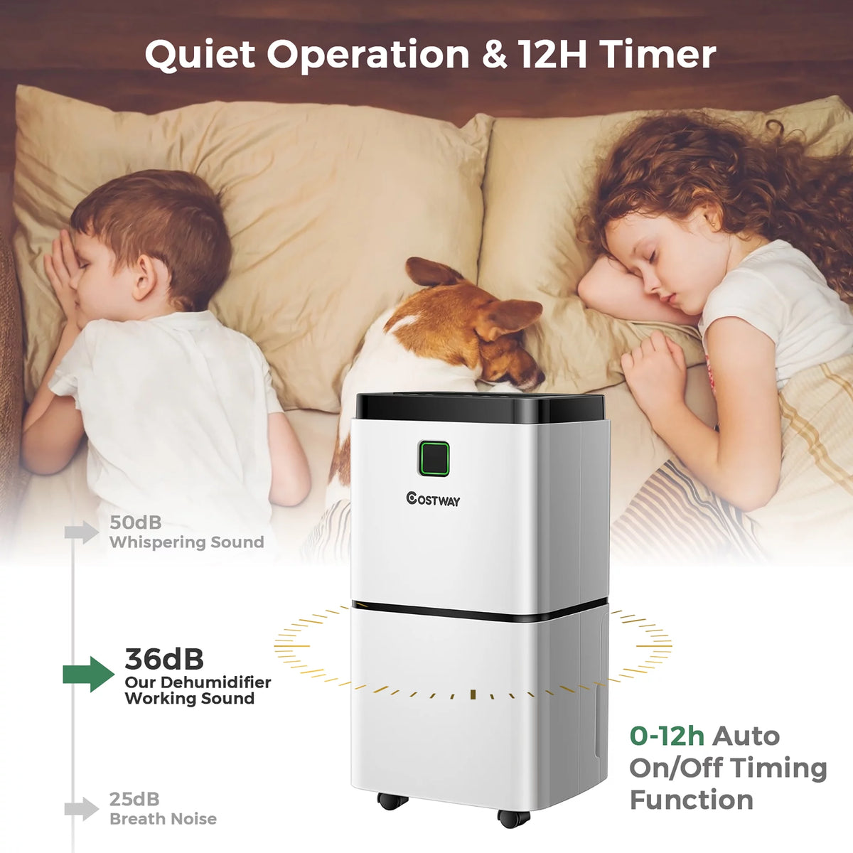 24 Pints Portable Dehumidifier B6594
