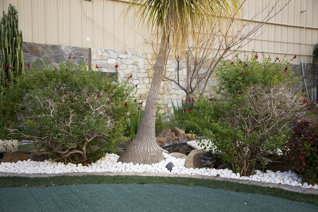 White Marble Bagged Pebbles N836005