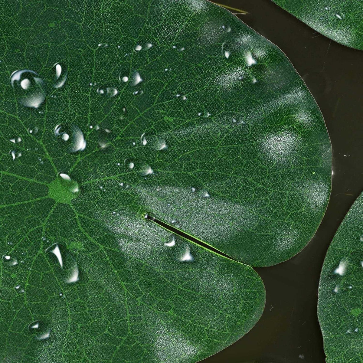 Artificial Lotus Leaves Lily Pads Floating Foam Q988