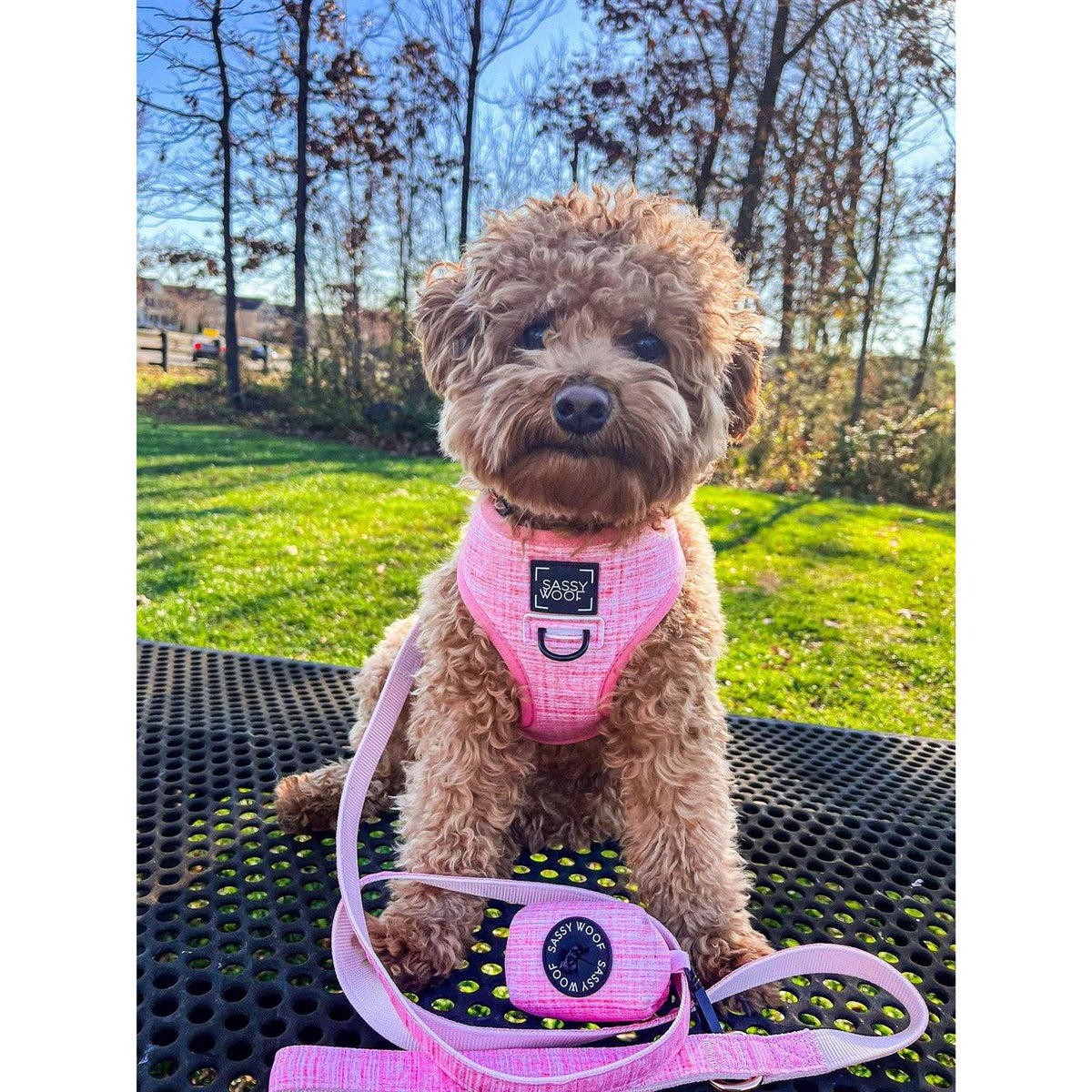 Reversible Dog Harness O923