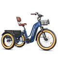Electric Trike with 750W Rear Motor, 48V 20AH/40AH Dual Battery System, Differential, Parking Brake A312