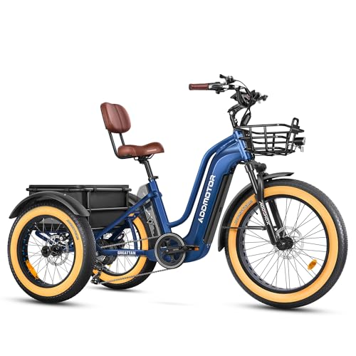 Electric Trike with 750W Rear Motor, 48V 20AH/40AH Dual Battery System, Differential, Parking Brake A312