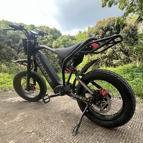 20" Fat Tire Electric Dirt Bike X565