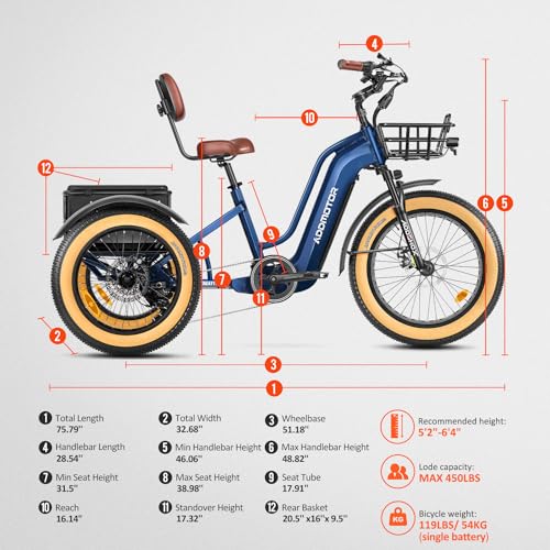 Electric Trike with 750W Rear Motor, 48V 20AH/40AH Dual Battery System, Differential, Parking Brake A312
