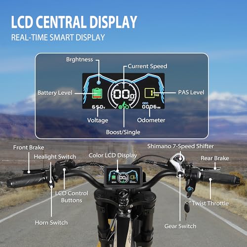 20" Fat Tire Electric Dirt Bike X565