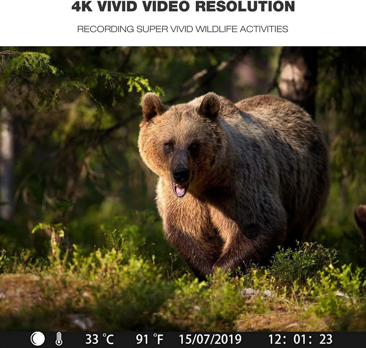 4K Trail Camera with 940nm No Glow Night Vision I707564